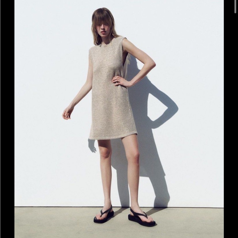 Zara M Metallic Thread Knit Dress